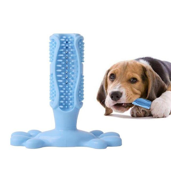 Pet Dog Toys Pets Supplies And Accessories Dogs Toothbrush Doggy  Bite Chew Toy Oral Cleaner Brush Puppy Care With Teeth Stick