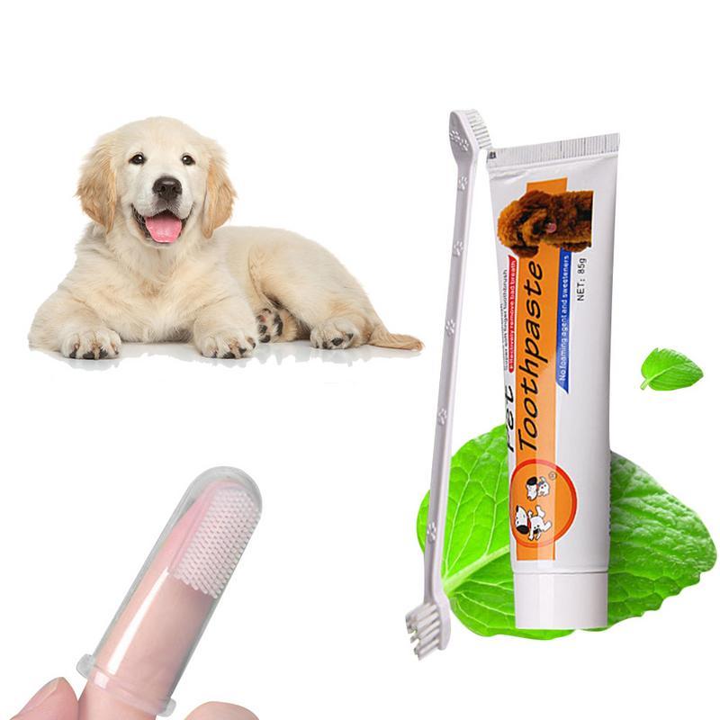 Pet Oral Care Kit Dog Cat Toothbrush Toothpaste Set Improve Pet Oral Hygiene Mouth Cleaning Reduce Dental Plaque 1pcs