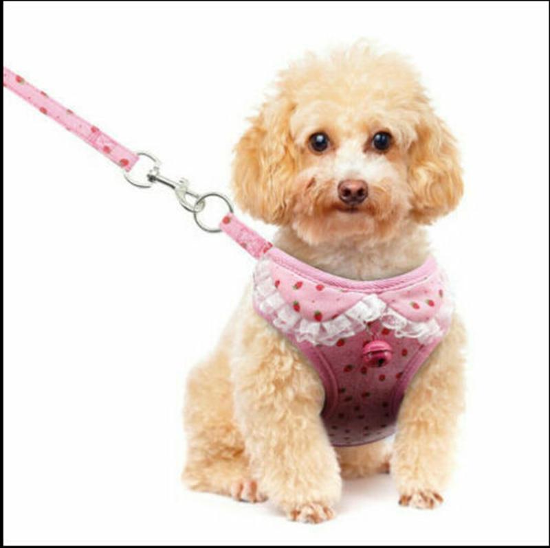Soft Mesh Lace Small Dog Harness Step-in Puppy Harness Leash Set Pet Jacket Vest