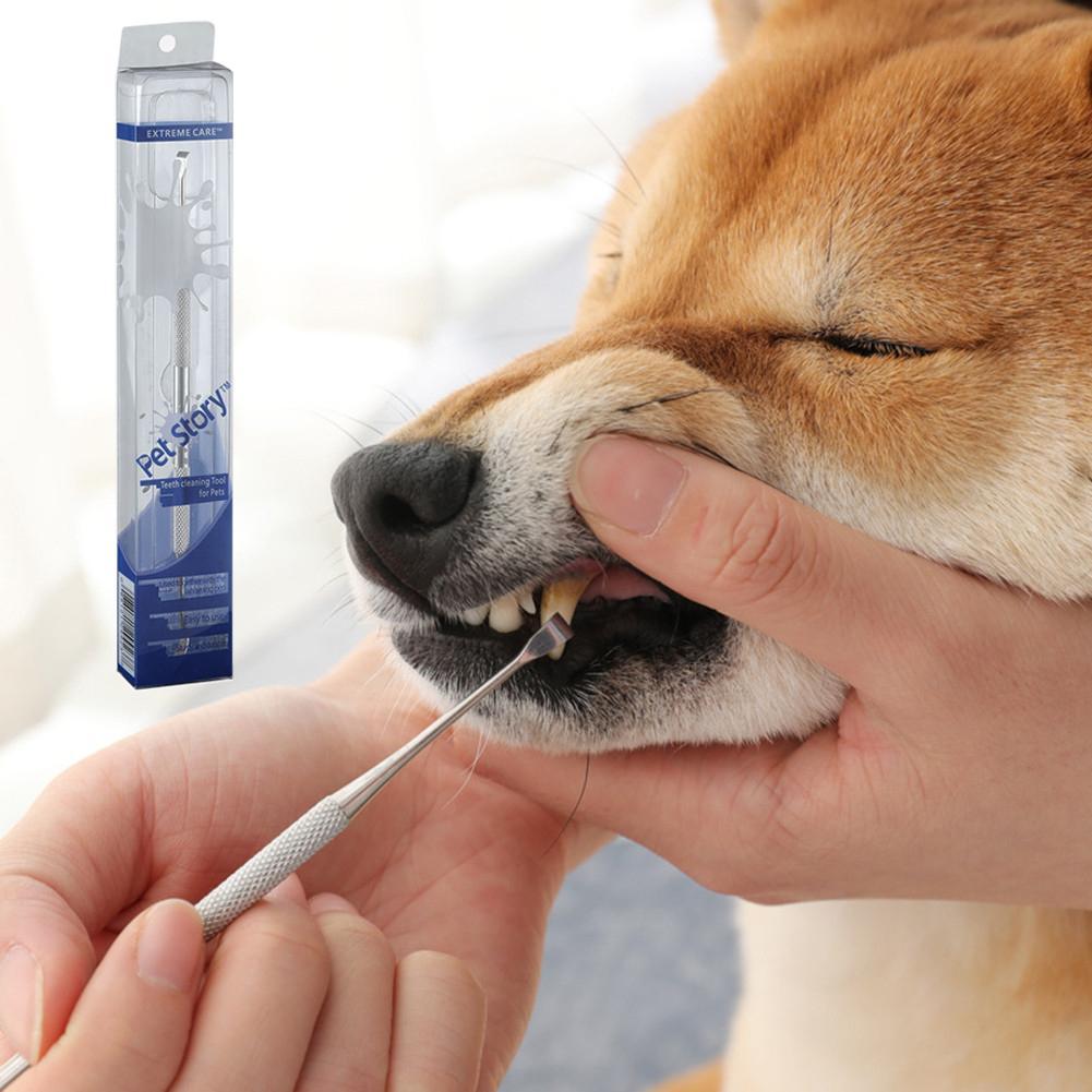 Double Sided Pets Teeth Cleaning Tools Dogs Cats Tartar Remover Dental Stones Scraper