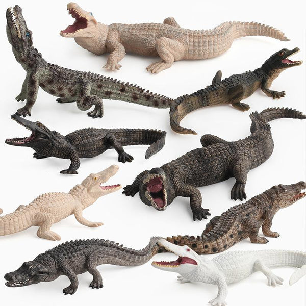 Big Size Animals kingdom Crocodile Toy Set Plastic Play Toys World Park Crocodile Model Action Figures Kids Boy Gift Home Decor