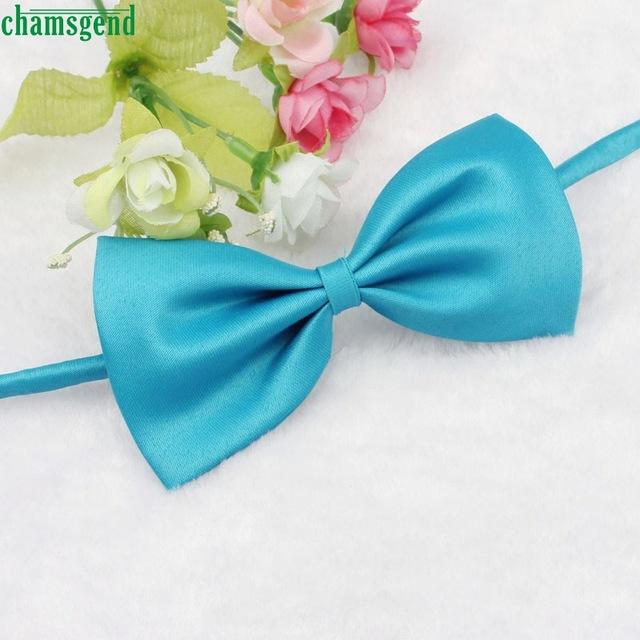 CHAMSGEND Gifts Cute Dog Puppy Cat Kitten Pet Toy Kid Bow Tie Necktie Clothes For Daily Use, Parties And Wedding Pet's Gift