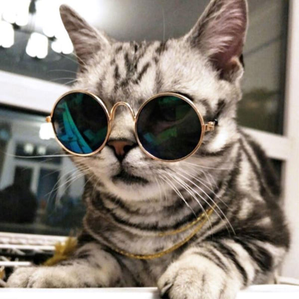Fashion Cool Cat Glasses Pet Dog Eye Protection Sunglasses Puppy Kitty Photo Props Toy Dog Eyewear Eyeglass  Pet Accessories