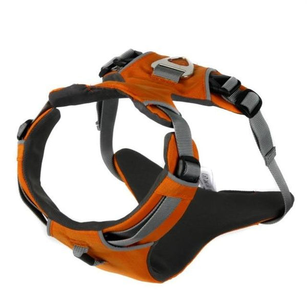 NEW Reflective Dog Harness Accessories Pet Dog Training Vest for Small Large Dogs Adjustable Professional Harness arnes perro