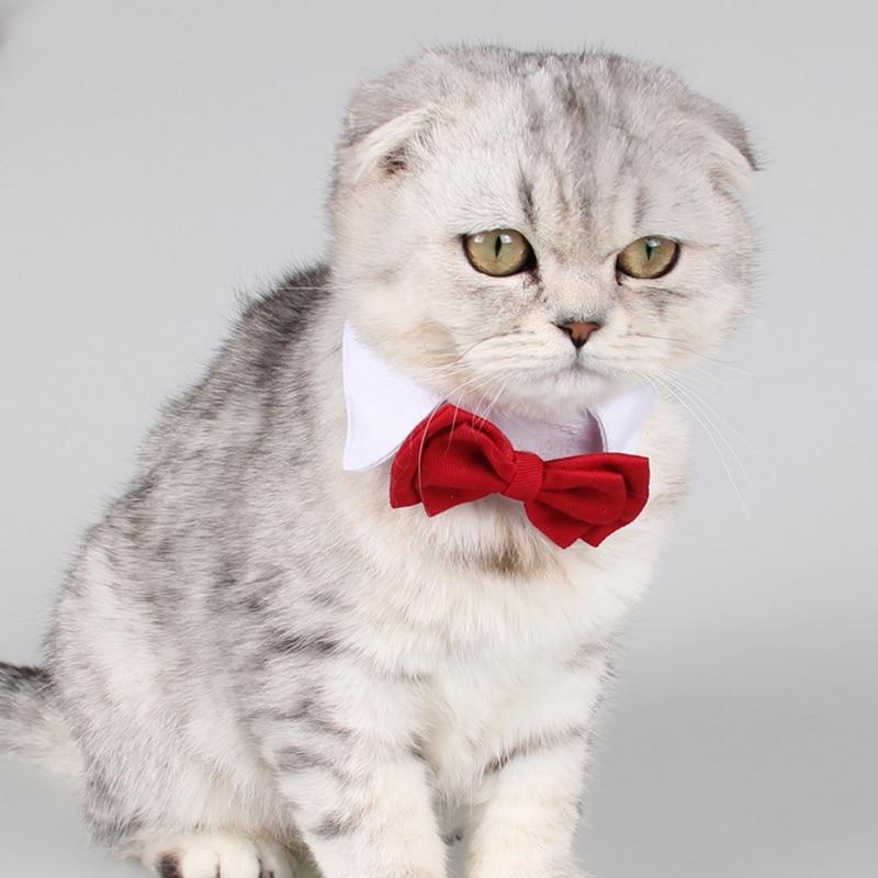 Cotton Adjustable Dog Cat Bow Tie Cheap Wholesale White Pet Grooming Butterfly Tie Cat Accessories For Party Wedding Dog Bows
