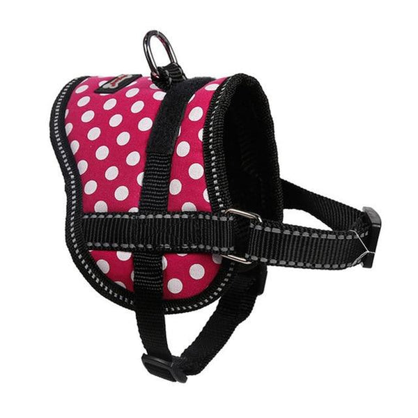 Cute Dogs collars and vest harnesses chest with leash set pets shop reflective dog accessories arnes perro mascotas acessorios