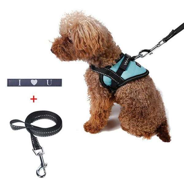 Cute Dogs collars and vest harnesses chest with leash set pets shop reflective dog accessories arnes perro mascotas acessorios