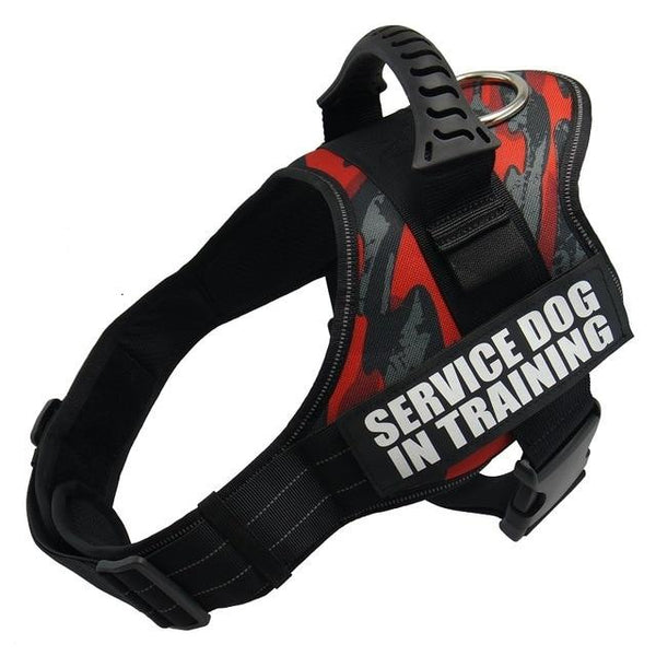 Dog harnesses for large dogs supplies vests pet products Factory price for dog all pet Harness for cats For pet dogs collar