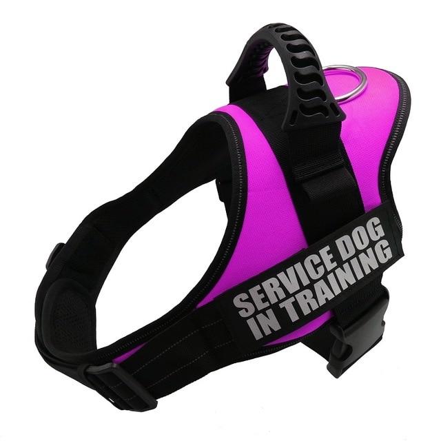 Dog harnesses for large dogs supplies vests pet products Factory price for dog all pet Harness for cats For pet dogs collar