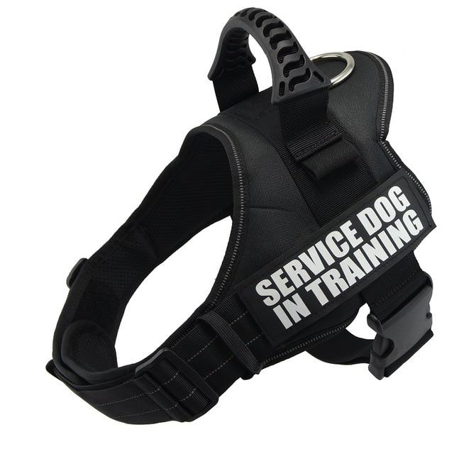Dog harnesses for large dogs supplies vests pet products Factory price for dog all pet Harness for cats For pet dogs collar