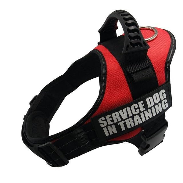 Dog harnesses for large dogs supplies vests pet products Factory price for dog all pet Harness for cats For pet dogs collar