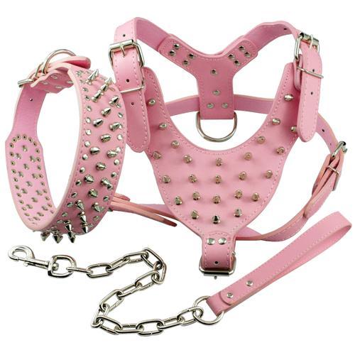 Cool Spiked Studded Leather Dog Harness Rivets Collar and Leash Set For Medium Large Dogs Pitbull Bulldog Bull Terrier  26"-34"