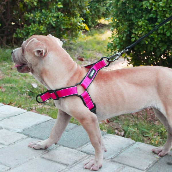 No-Pull Dog harness Easy On/Off  Pet Harness vest walking running Quick Fit Reflective for Small Medium and Large Dogs Training