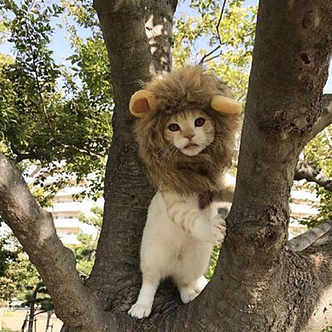 1Pc  Pet Cat Dog Dress Up Costume Wig Emulation Lion Hair Mane Ears Head Cap Autumn Winter Muffler Scarf Pet Products