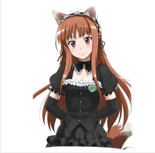 cirno's Store Spice and Wolf anime Characters sexy animal ears girl holo Cushion 2 sides pillowcase