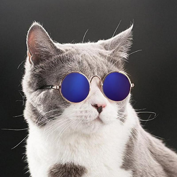 1pc Lovely Pet Cat Glasses Dog Glasses Pet Products For Little Dog Cat Eye-wear Dog Sunglasses Photos Pet Accessories