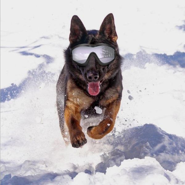 Cool Dog Sunglasses UV Protection Windproof Goggles Pet Eye Wear Medium Large Dog Swimming Skating Glasses Accessaries