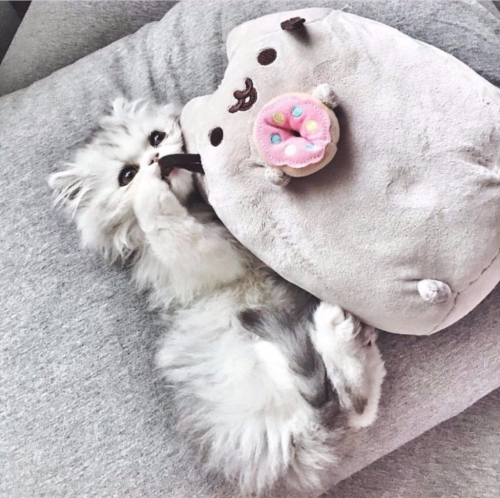 Kawaii Brinquedos Cat Sushi Angel Cookie Potato chips Doughnut Stuffed & Plush Animals Cute Pussy Christmas Gift Toys for Girls