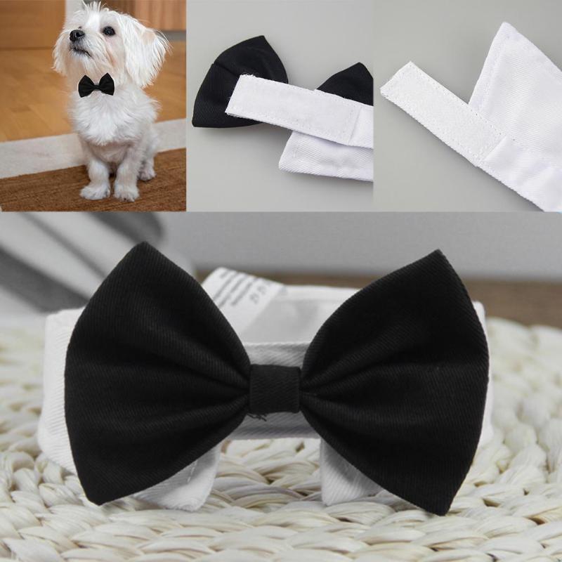 Dog Cat Pet Tie Puppy Toy Bow Tie Necktie Clothes British Black Kitten Tie Handsome Dog Puppy Necktie for Pet Festival Decor
