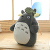 1pc 25/35/50cm Kawaii My Neighbor Totoro Plush Toys Stuffed Soft Anime Character Totoro Doll with Lotus Leaf/Teeth Kids Toys