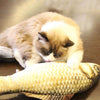 Cat Simulation Fish Catnip Toys Pet Kitten Cushion Grass Bite Chew Funny Scratch Stuffed Pillow Pets Padded Toy 30cm 10 Styles