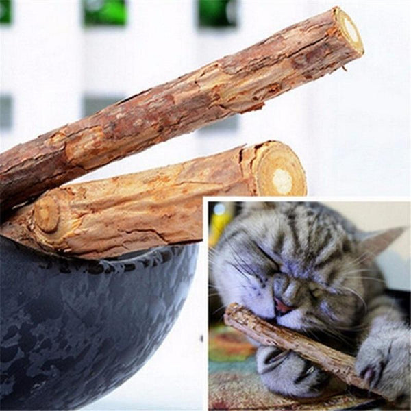 5PCS/Set Pet Cat Kitten Chew Stick Toy Catnip Molar Actinidia Fruit Matatabi Cat Snacks Sticks