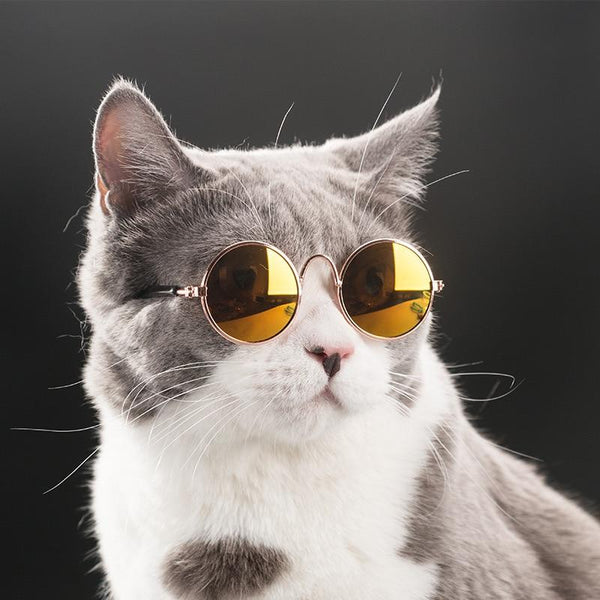 Fashion Cat Sunglasses Pet Accessories Summer Dogs Cats Glasses Grooming Black Green