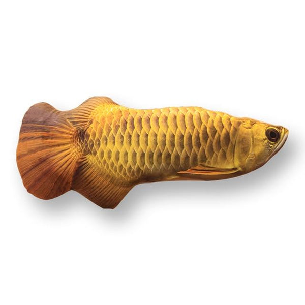 Pet Soft Plush Creative 3D Carp Fish Shape Cat Toy  Gifts Catnip Fish Stuffed Pillow Doll Simulation Fish Playing Toy For Pet
