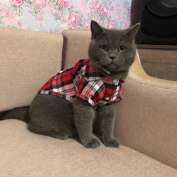 Plaid Cat Clothes Summer Fashion Cat Shirts Coat For Small Cats Shirt Clothing Puppy Kitten Outfits Pet Dog Clothes