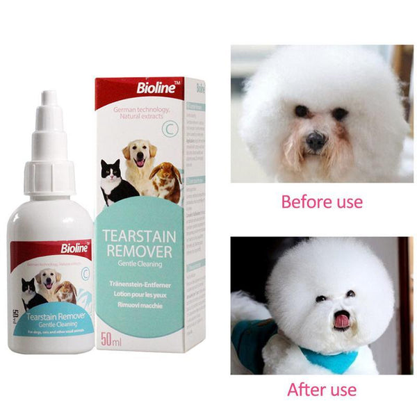 Pet dog puppy cat supplies eye care eye drop health care kill virus Liquid Solution health care fast shipping