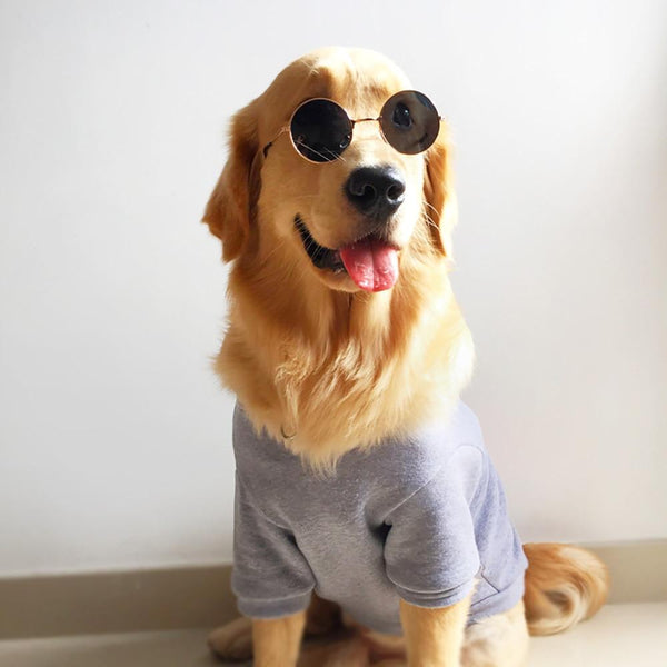 Fashion Dog Glasses Eyewear Sunglasses For Cats Small Large Dogs Funny Photos Props New Year Party Dress Up Pet Cat Accessories
