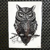 1PC Snowy Owl Hedwig Design Large Arm Tattoo Sleeve Flash Temporary Tattoo Sticker 21x15cm Waterproof Henna Tatoo Women Body Art