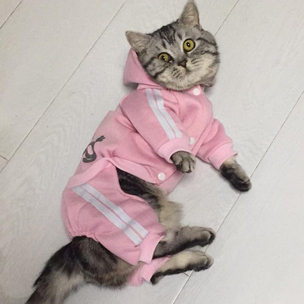 Fashion Cat Clothes For Cats Winter Warm Cozy Cat Clothing For Pets Kitten Outfit Kedi Gatto Hooded Coat Jumpsuit Pets Products