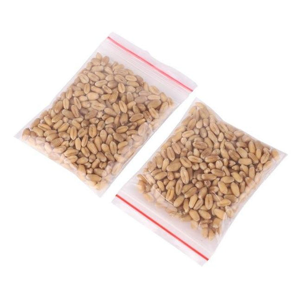 New Cats Catnip Toys Pet Cat Catnip Cat Natural Treats Control And Removal Hairball