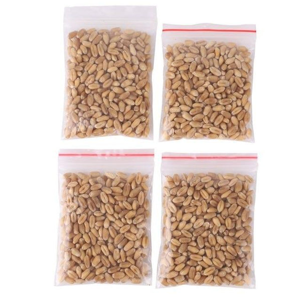 New Cats Catnip Toys Pet Cat Catnip Cat Natural Treats Control And Removal Hairball