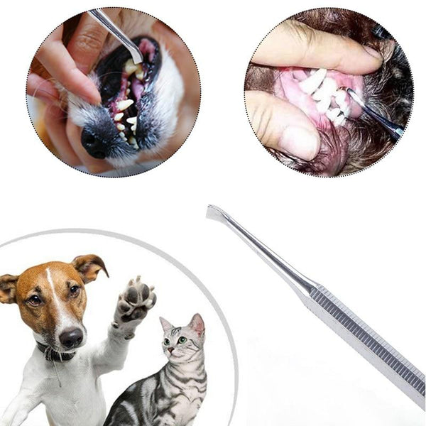 2019 Hot Sale Pet Dog Double Head Tartar Calculus Remover Scraper Dental Scaler Tooth Oral Hygiene Health Care Tools