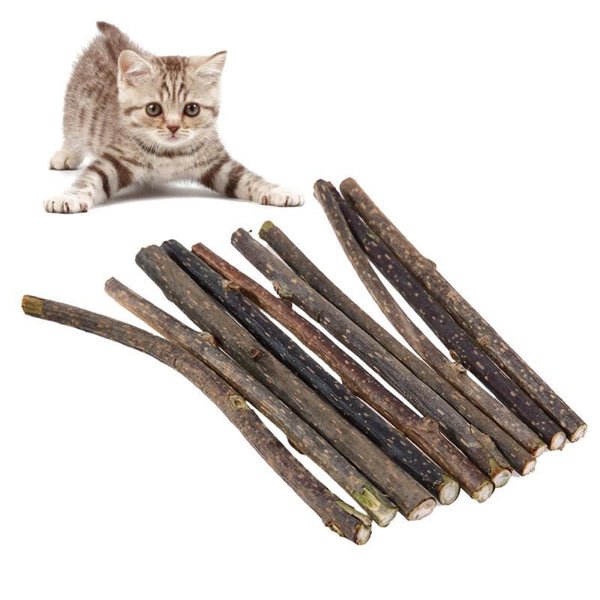 15/20/25/50pcs Pure Natural Catnip Pet Cat Toy Molar Toothpaste Branch Cleaning Teeth Silver Vine Cat Snacks Sticks Pet Supplies