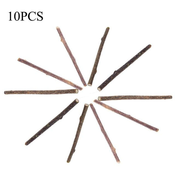 15/20/25/50pcs Pure Natural Catnip Pet Cat Toy Molar Toothpaste Branch Cleaning Teeth Silver Vine Cat Snacks Sticks Pet Supplies