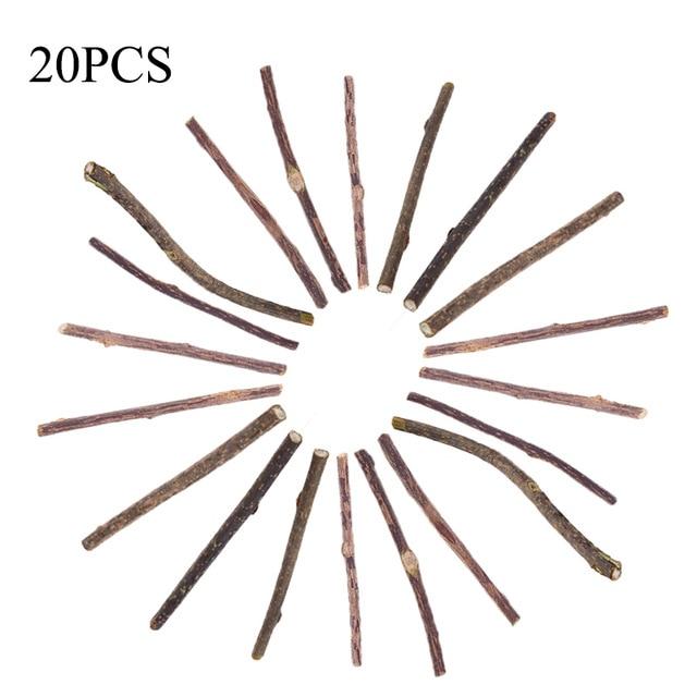 15/20/25/50pcs Pure Natural Catnip Pet Cat Toy Molar Toothpaste Branch Cleaning Teeth Silver Vine Cat Snacks Sticks Pet Supplies