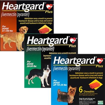 Heartgard Plus Chewables Heartworms Roundworms & Hookworms Treatment For Pets