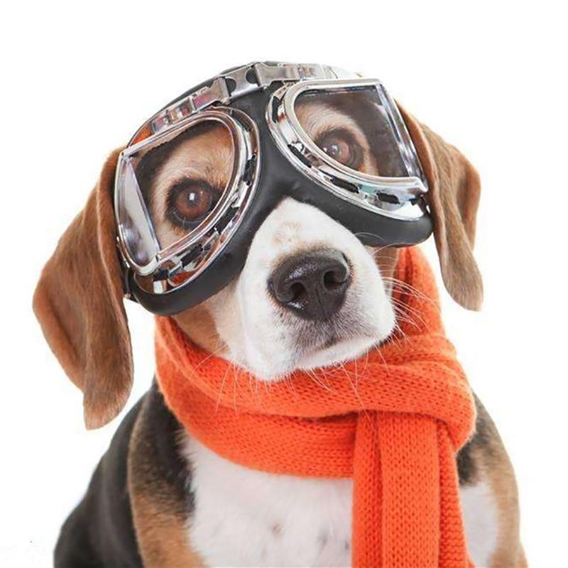 Cool Pet Sunglasses Fashion Foldable Dog Accessories UV Protective Goggles Resin Lenses with Adjustable Strap Harley's Glasses