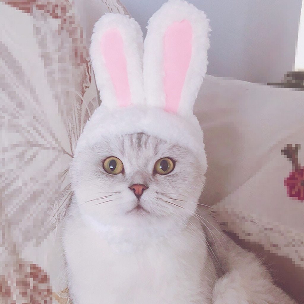 Cat Clothes Costume Bunny Rabbit Ears Hat Pet Cat Cosplay Clothes For Cat Costumes Small Dogs Kitten Party Costume pet products