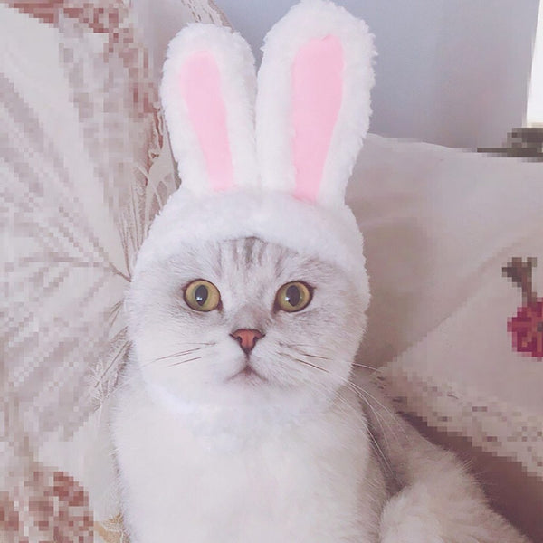 Cat Clothes Costume Bunny Rabbit Ears Hat Pet Cat Cosplay Clothes For Cat Costumes Small Dogs Kitten Party Costume pet products