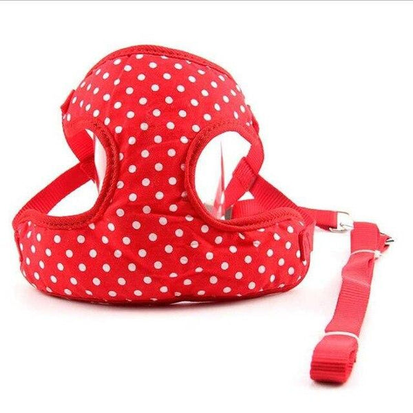 DOGGYZSTYLE Pet Dog Adjustable Harness And Leash Set Pets Cat Vest Harness Mesh Padded For Small Dogs Chihuahua Yorkies Pug