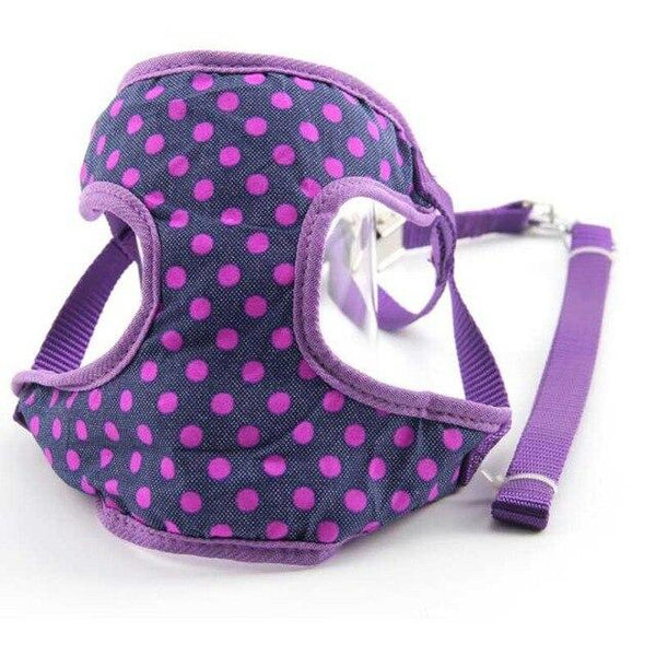 DOGGYZSTYLE Pet Dog Adjustable Harness And Leash Set Pets Cat Vest Harness Mesh Padded For Small Dogs Chihuahua Yorkies Pug