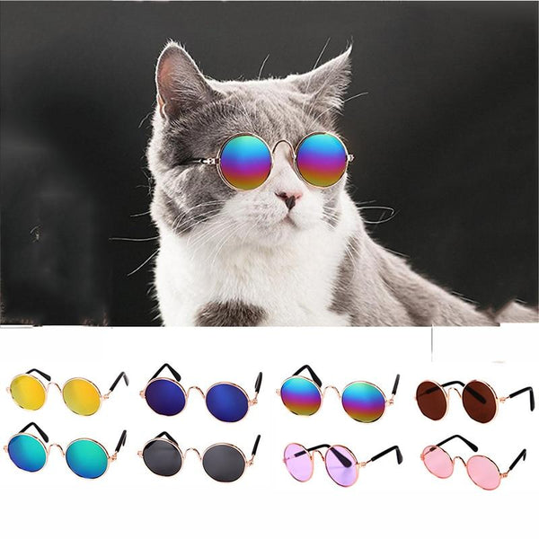 1PC Lovely Pet Cat Glasses Dog Glasses Pet Products For Little Dog Cat Eye-wear Dog Sunglasses Photos Pet Accessoires