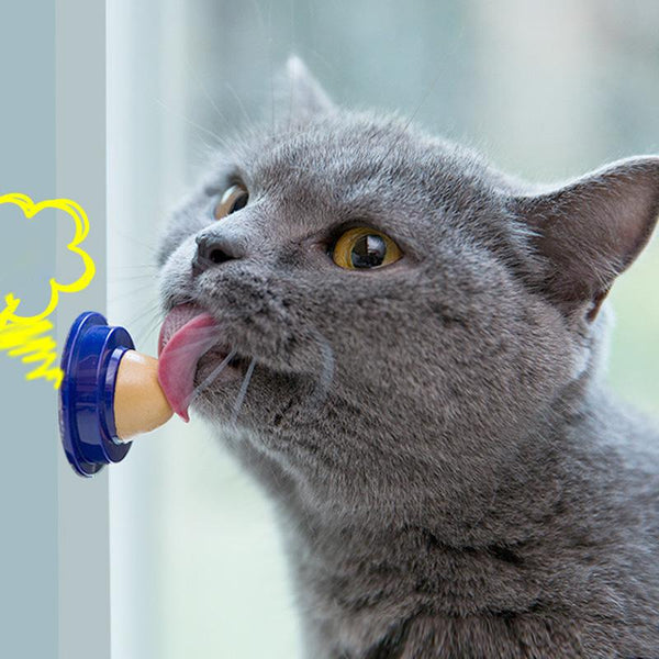 Healthy Cat Catnip Sugar Cats Safe Vitamin Snacks Licking Candy Nutrition Energy Ball Toys for Cat Playing Pet Food Cat Products