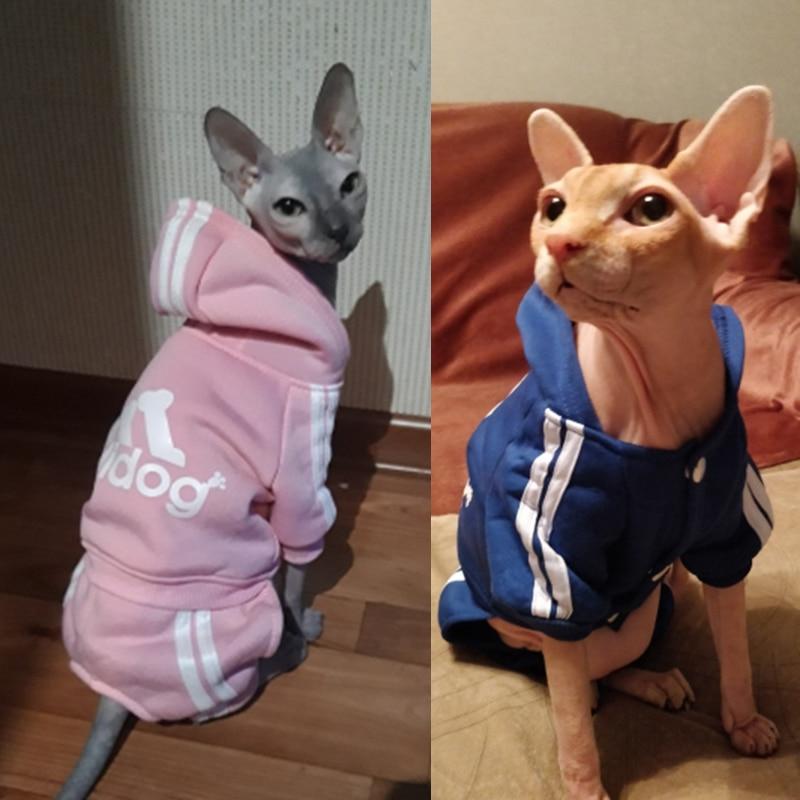 Cute Cat Sweater Hoodie Winter Warm Pet Clothes for Cats Sphinx Katten Clothing Outfit Ropa Para gatos Kedi Giyim Pets Products