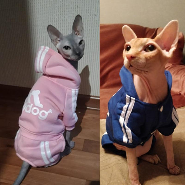 Cute Cat Sweater Hoodie Winter Warm Pet Clothes for Cats Sphinx Katten Clothing Outfit Ropa Para gatos Kedi Giyim Pets Products