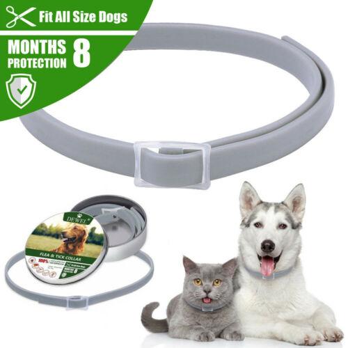 Cat Dog Collar Summer Anti-insect Flea Tick Mosquitoes Waterproof Pet Accessories Heal Outdoor Protective Caring Tools 8 Month